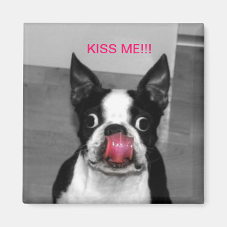 BOSTON TERRIER MAGNET