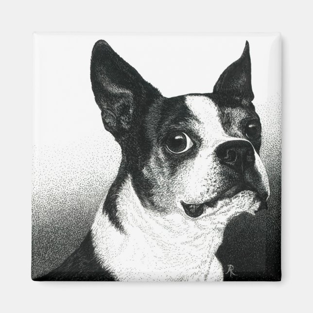 Boston Terrier Magnet - "Boston Style" (Front)
