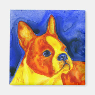 Boston Terrier Magnet - "Golden Boy"