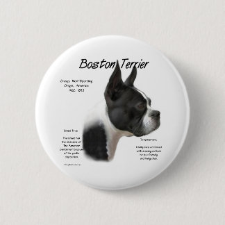 Boston Terrier Meet the Breed - Button