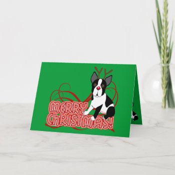 Boston Terrier Merry Christmas Card by totallypainted at Zazzle