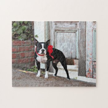 Boston Terrier - Miles Jigsaw Puzzle by SayWoof at Zazzle