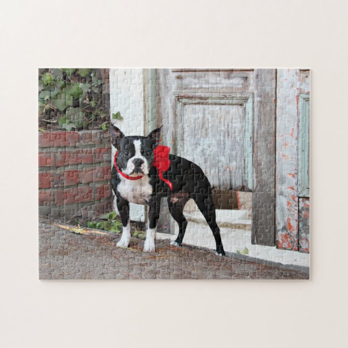 Boston Terrier - Miles Jigsaw Puzzle | Zazzle.com