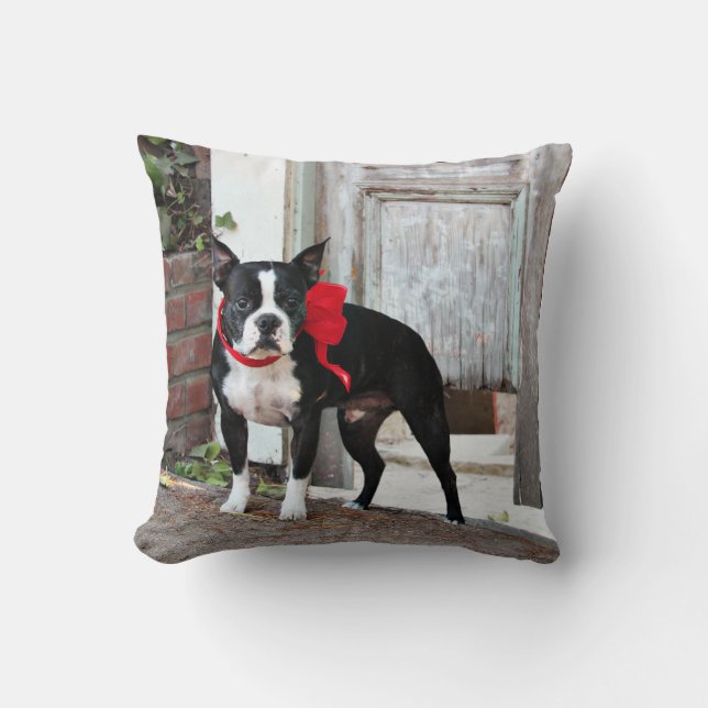 Boston Terrier - Miles Throw Pillow (Front)