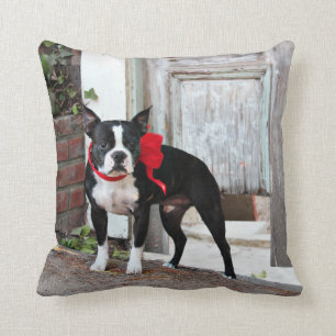 Boston Terrier - Miles Throw Pillow