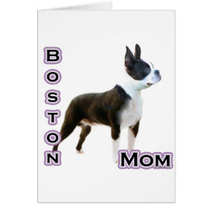 Boston Terrier Mom 4 Cards