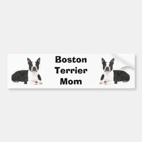 Boston Terrier Mom Bumper Sticker