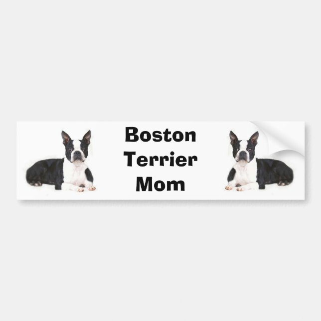 Boston Terrier Mom Bumper Sticker (Front)