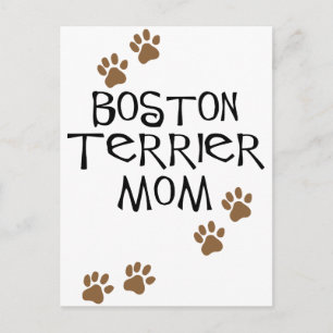 Boston Terrier Mom Postcard