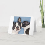 Boston Terrier Mother&#39;s Day Card at Zazzle