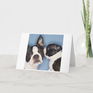 Boston Terrier Mother's Day Card