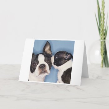 Boston Terrier Mother's Day Card by PetsRPeople2 at Zazzle