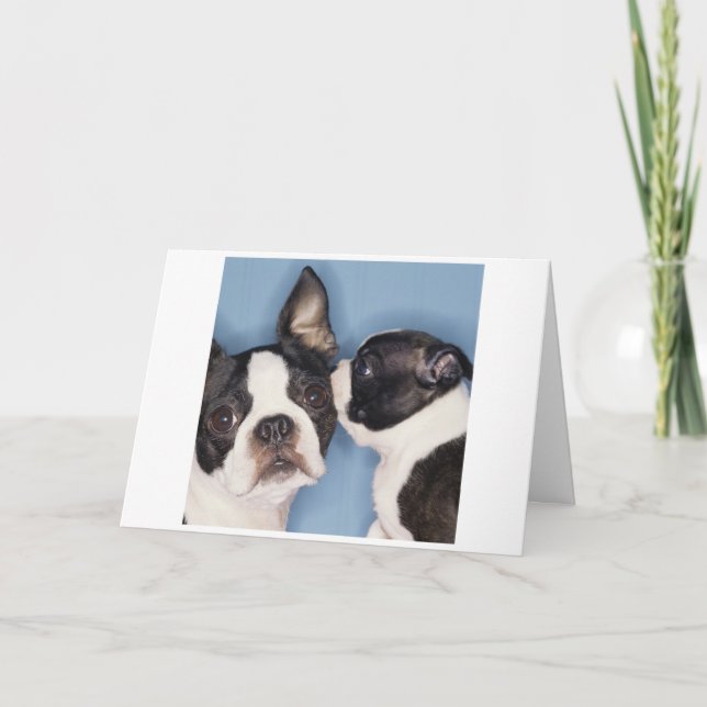 Boston Terrier Mother's Day Card (Front)