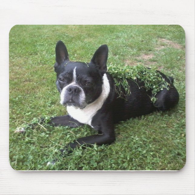 Boston terrier mouse pad (Front)