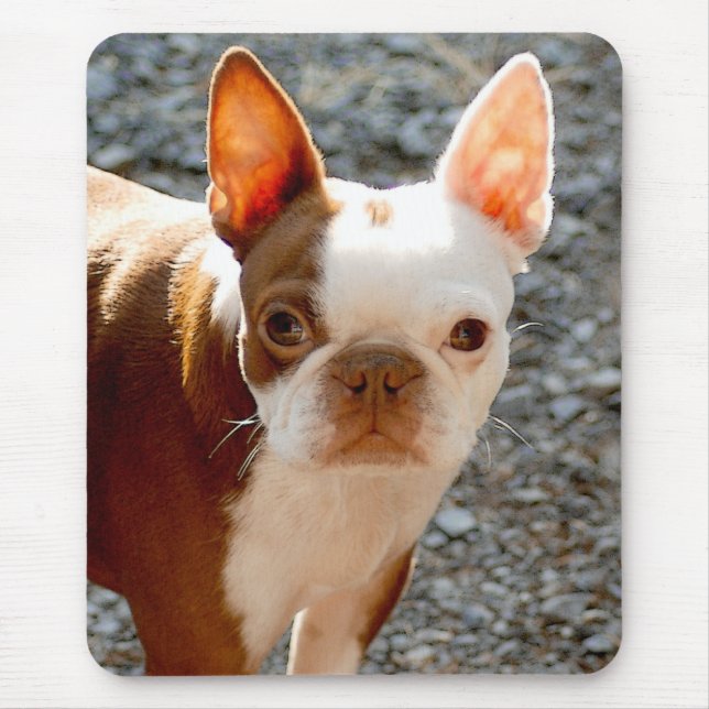 Boston Terrier Mouse Pad (Front)
