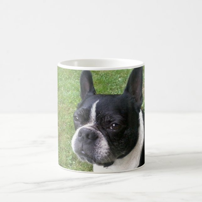 boston terrier mug (Center)