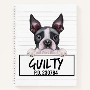 Boston Terrier Mugshot Guilty Dog Notebook