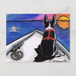 Boston Terrier Nautical Boat Sunset Off-Leash Art™ Postcard