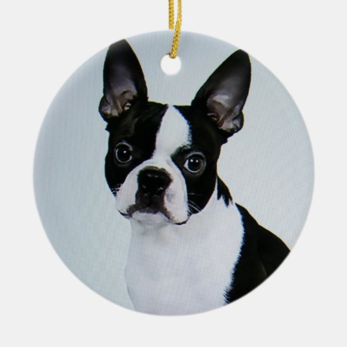 BOSTON TERRIER ORNAMENT