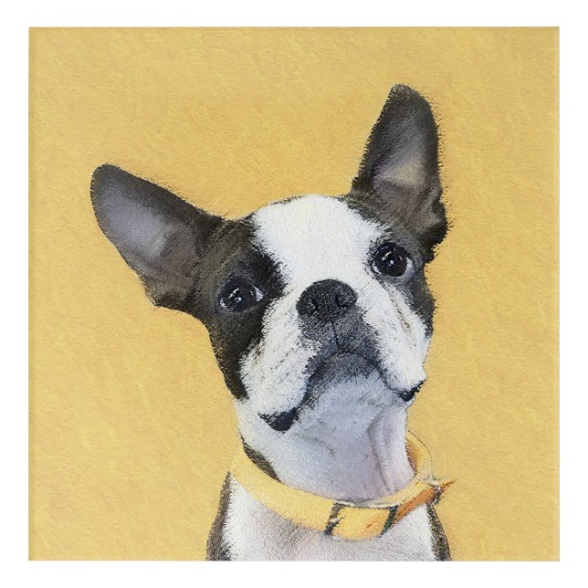 Boston Terrier Painting - Cute Original Dog Art (Front)