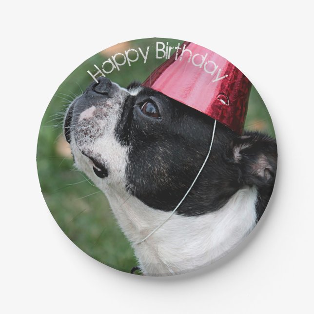 Boston Terrier Paper Plates (Front)