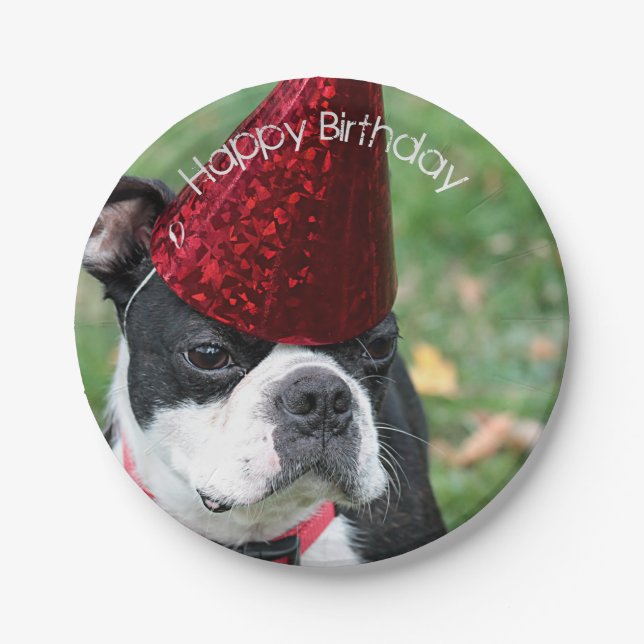 Boston Terrier Paper Plates (Front)