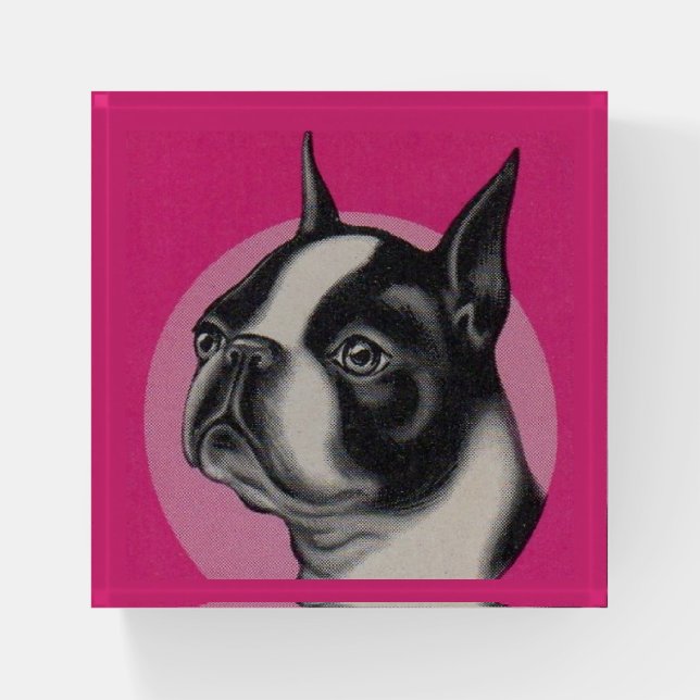 Boston terrier paperweight (Front)