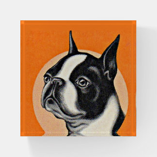 Boston terrier paperweight