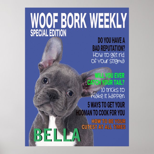 Boston Terrier Parody Magazine Cover Poster (Front)