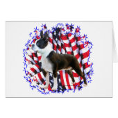 Boston Terrier Patriot (Front Horizontal)