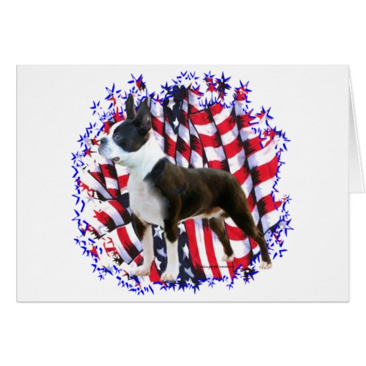 Boston Terrier Patriot (Front Horizontal)