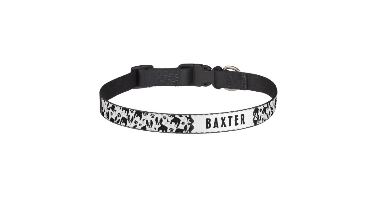  Baxter Dog Paw Dog Collar (Cat) : Handmade Products