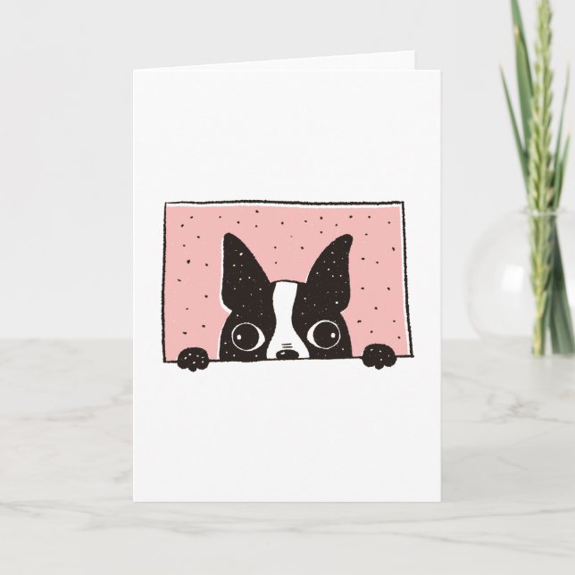 Boston Terrier Peeking Card (Front)