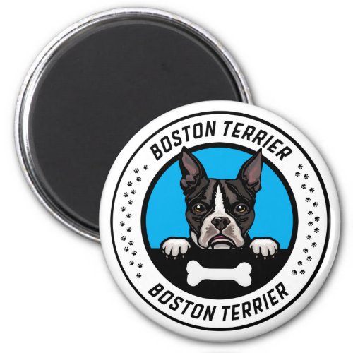 Boston Terrier Peeking Illustration Badge Magnet