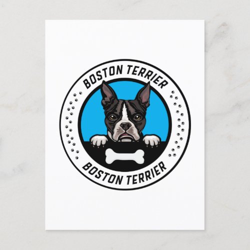 Boston Terrier Peeking Illustration Badge Postcard