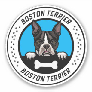Boston Terrier Peeking Illustration Badge Sticker