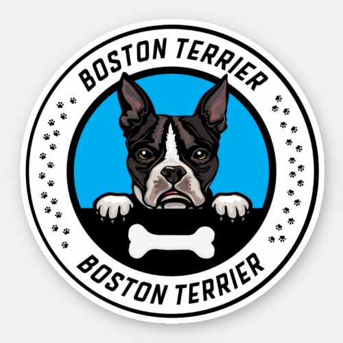 Boston Terrier Peeking Illustration Badge Sticker