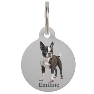 Boston Terrier Personalize Pet ID Tag