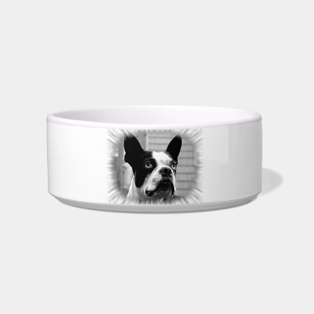 Boston Terrier Pet Bowl (Front)