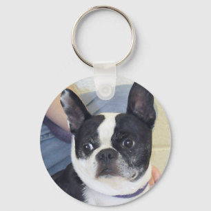 Boston Terrier Photo Keychain