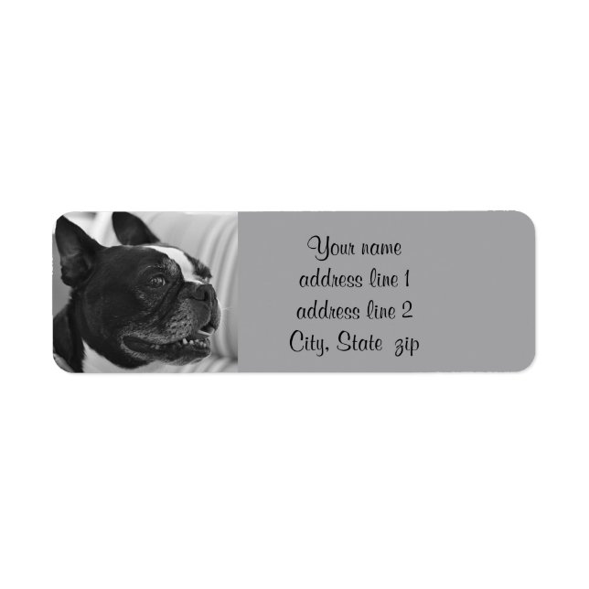 Boston Terrier photo Label (Front)