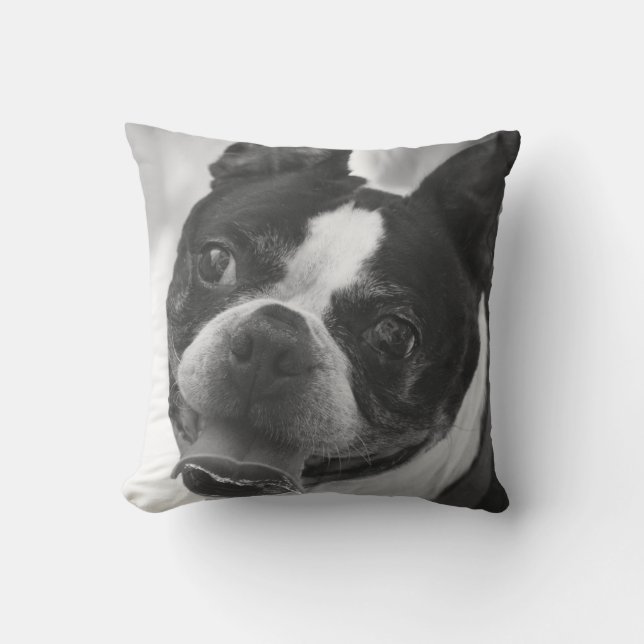 Boston terrier photo throw pillow (Front)
