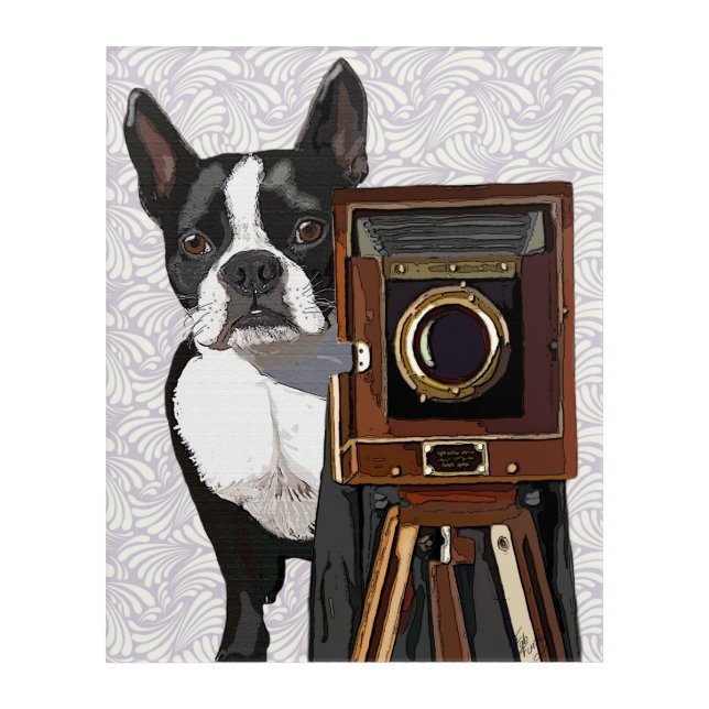 Boston Terrier Photographer Acrylic Print (Front)