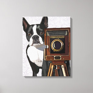 Boston Terrier Photographer Canvas Print