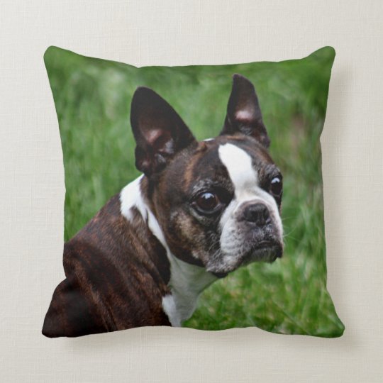 Boston Terrier Pillow | Zazzle.com
