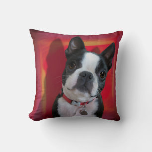Boston Terrier Pillow
