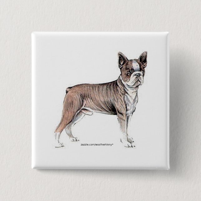 Boston Terrier Pinback Button (Front)