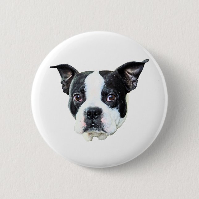 Boston Terrier Pinback Button (Front)
