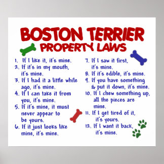 BOSTON TERRIER PL2 POSTER