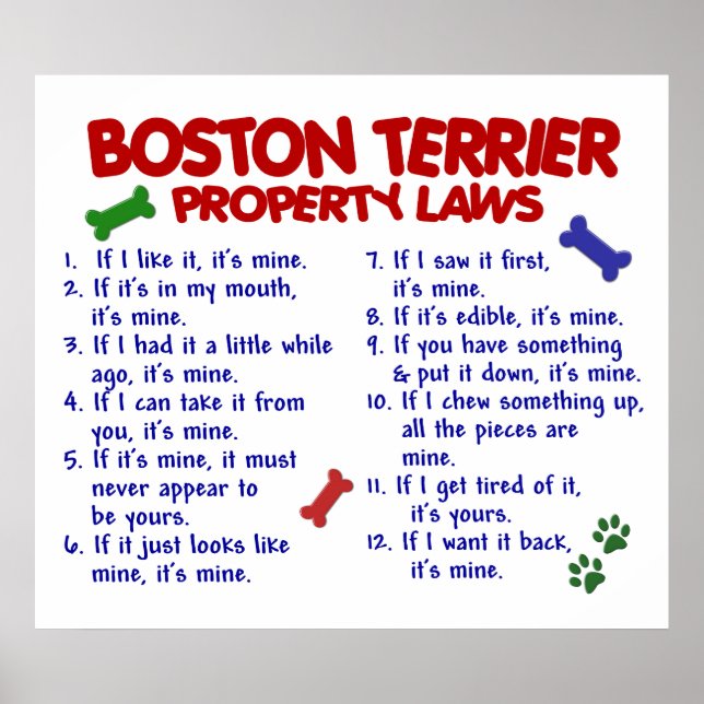 BOSTON TERRIER PL2 POSTER (Front)